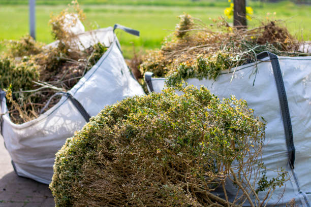 Trash Removal Near Me in Colon, MI